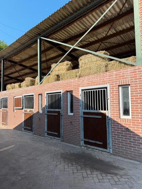 Stal beschikbaar voor pension of 24/7 weidegang, Dieren en Toebehoren, Stalling en Weidegang, Weidegang