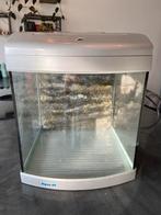 Aquarium 40 liter met lamp, Dieren en Toebehoren, Vissen | Aquaria en Toebehoren, Ophalen of Verzenden, Leeg aquarium