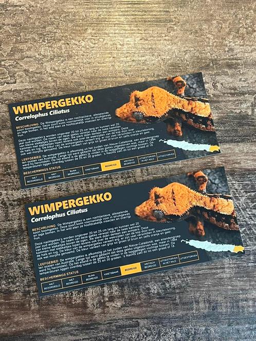 Terrariumlabel Wimpergekko | Correlophus Ciliatus, Dieren en Toebehoren, Reptielen en Amfibieën | Toebehoren, Nieuw, Terrarium of Paludarium