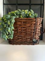 Vensterbank mand/Rotan., Gebruikt, Mand, Ophalen of Verzenden, Riet