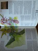 Schitterende aquarellen tuinplanten boek planten, Ophalen of Verzenden, Zo goed als nieuw