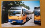 Foto bus Syntus 1029, Ophalen of Verzenden, Zo goed als nieuw, Bus of Metro, Overige typen