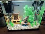 Aquarium  compleet Superfish, Dieren en Toebehoren, Vissen | Aquaria en Toebehoren, Ophalen, Zo goed als nieuw, Gevuld zoetwateraquarium