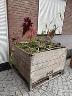 Houten AppelKist - Fruitkist - Plantenbak, Gebruikt, 100 cm of meer, 60 cm of meer, Rechthoekig