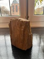 Prachtig stuk versteend hout, Ophalen of Verzenden, Fossiel