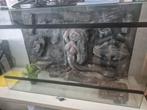 Slangen terrarium, Dieren en Toebehoren, Reptielen en Amfibieën | Toebehoren, Ophalen, ., Zo goed als nieuw, .