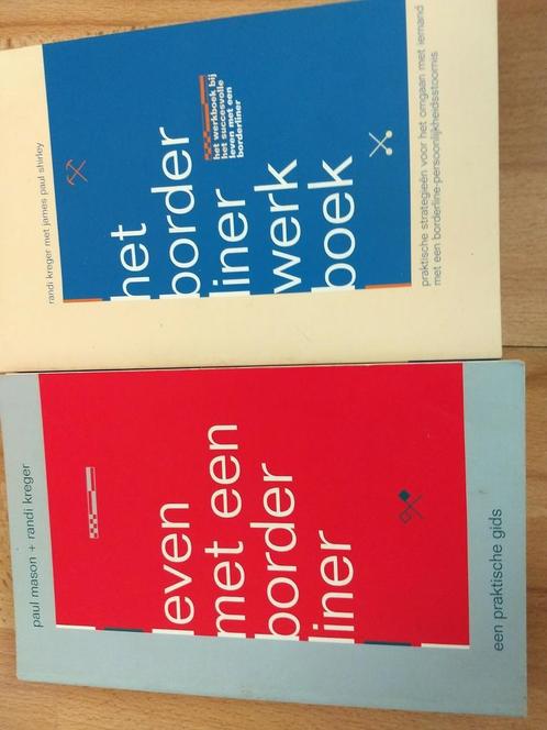 R. Kreger - Het borderliner werkboek, Boeken, Psychologie, Zo goed als nieuw, Ophalen of Verzenden
