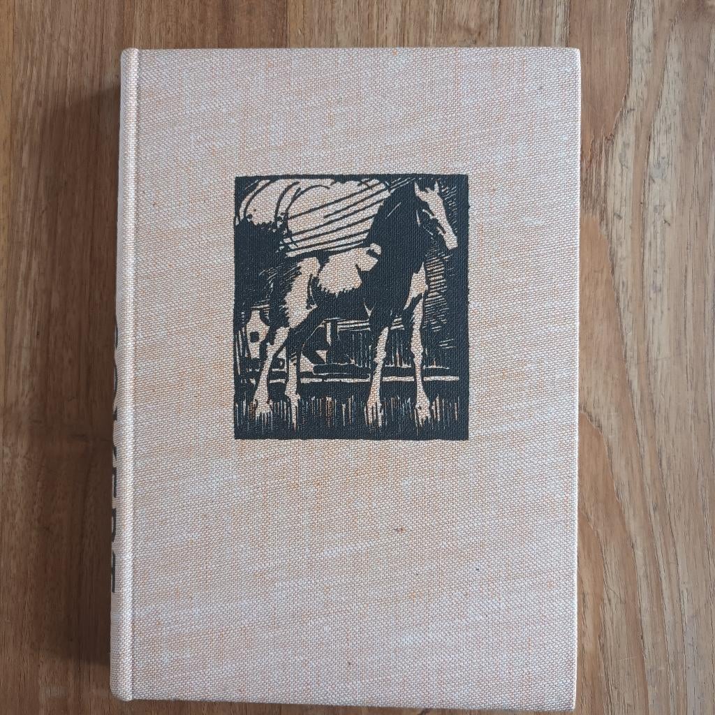 Zeeuws boek Govert van Dignate Robbertz, Antiek en Kunst, Ophalen of Verzenden