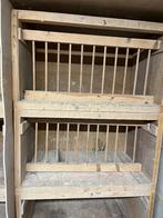 Broedhokken, Dieren en Toebehoren, Vogels | Duiven, Meerdere dieren, Postduif