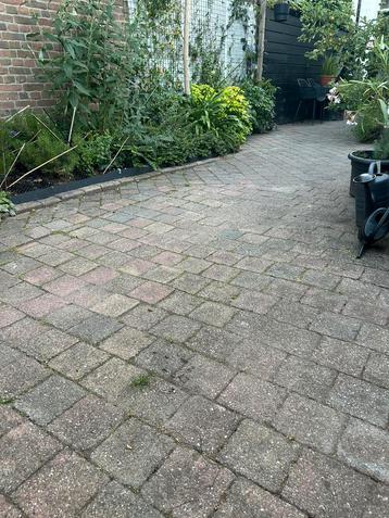 Gratis tuintegels beschikbaar voor biedingen