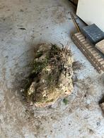 GRATIS Decoratieve siersteen voor tuin - 70x50x40 cm, Tuin en Terras, Tuinbeelden, Ophalen, Gebruikt, Steen, Overige typen