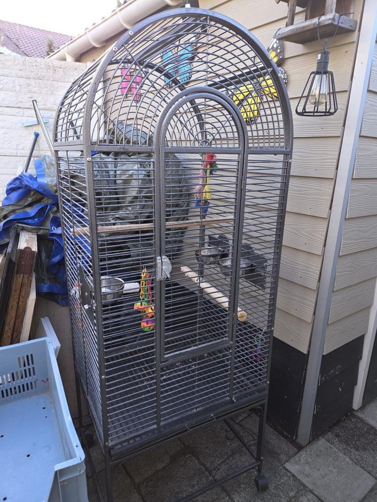 Papegaaienkooi, Dieren en Toebehoren, Ophalen of Verzenden, Metaal, Vogelkooi