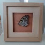 Ingelijste Vlinder - Decoratief Kunstwerk, Ophalen of Verzenden