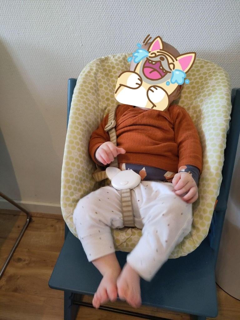 Stokke kuipje, Kinderen en Baby's, Kinderstoelen, Ophalen, Zo goed als nieuw, Meegroeistoel, Gordel(s)