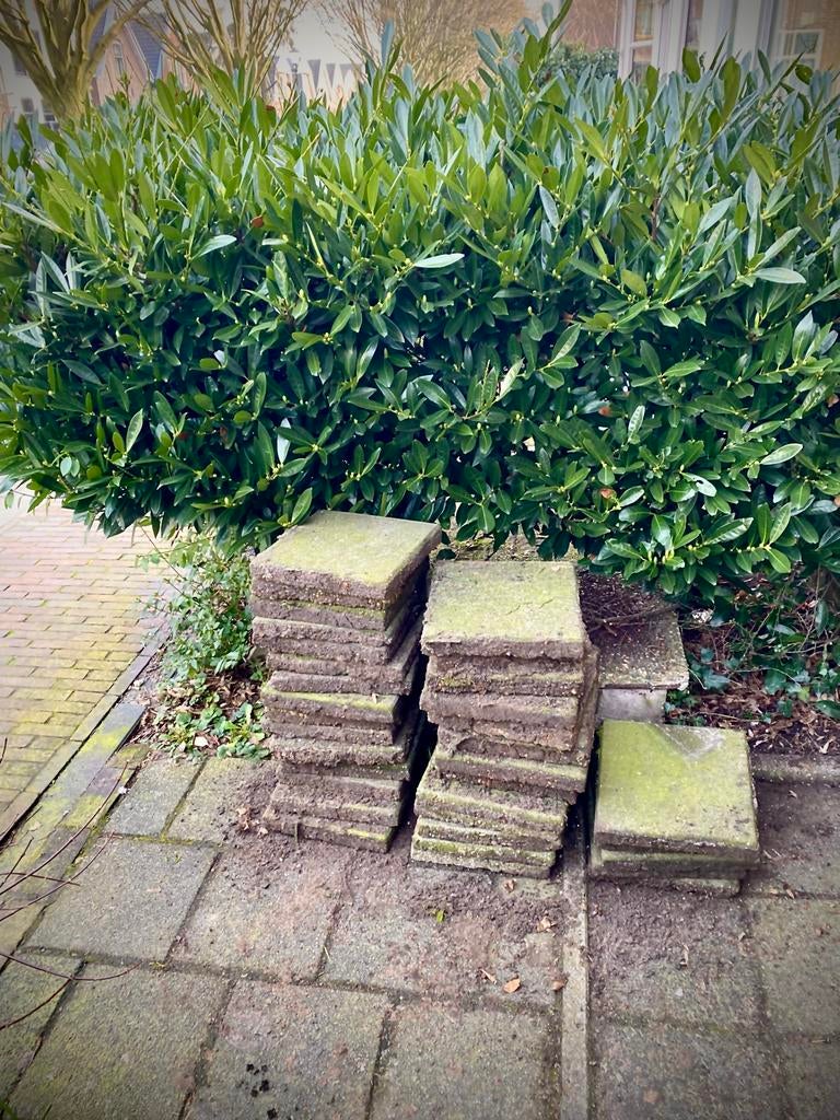stoeptegels, gratis 42 stuks, Tuin en Terras, Tegels en Klinkers, Ophalen, Gebruikt, 5 tot 10 m², Beton