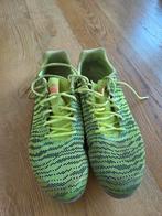 Puma Evo Speed star 6 - Spikes atletiek schoenen, Overige merken, Ophalen of Verzenden, Zo goed als nieuw, Spikes