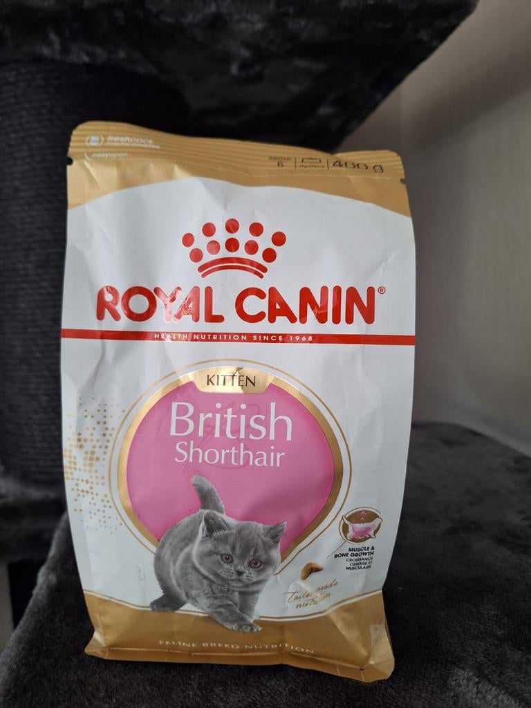 British Shorthair kitten voer van Royal Canin, Dieren en Toebehoren, Ophalen of Verzenden, Kat