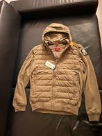 nieuw parajumpers jassen, Zwart, Nieuw, Ophalen of Verzenden, Overige maten