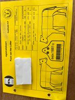 Mooie Lakenvelder dekstier, Mannelijk