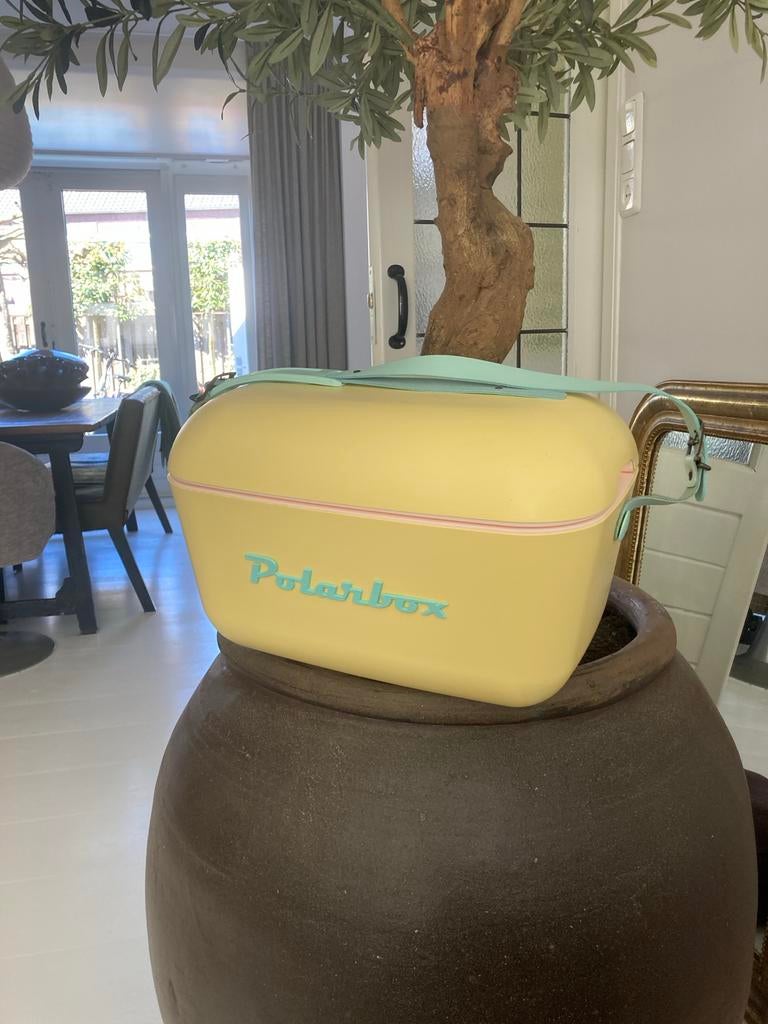 Polarbox retro design Koelbox, Caravans en Kamperen, Koelboxen, Ophalen of Verzenden, Zo goed als nieuw, Koelbox, Koelelement