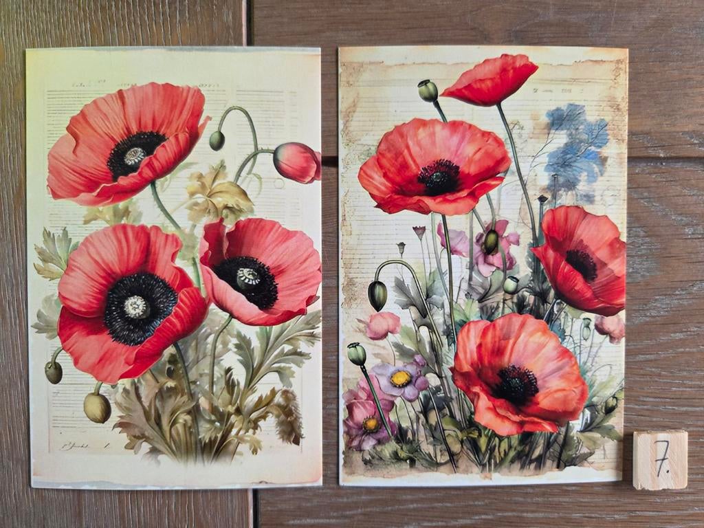 KLAPROOS BLOEM 7, Ophalen, Overige thema's