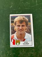 Panini plaatje Peter Houtman Feyenoord voetbal 85, Ophalen of Verzenden, Zo goed als nieuw, Feyenoord
