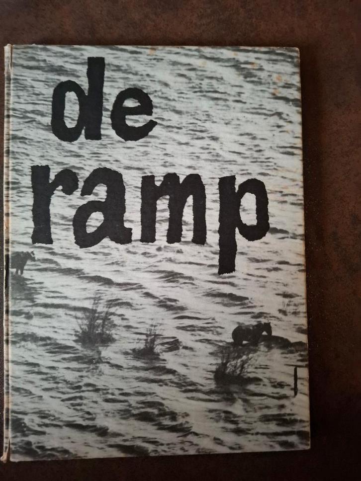 Boek: De ramp, Boeken, Geschiedenis | Vaderland, Zo goed als nieuw, Ophalen of Verzenden