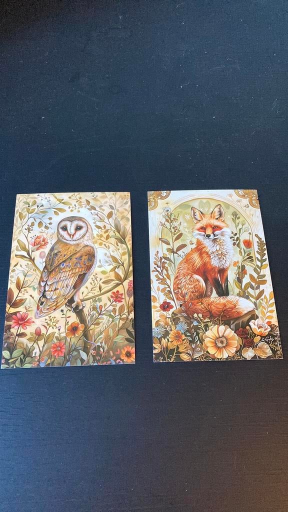 Nieuw - prachtige kaarten - uil en vos, Verzamelen, Ophalen of Verzenden, 1980 tot heden, Ongelopen, Vogel