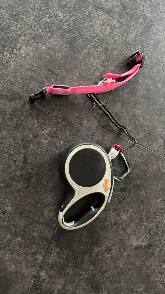 Flexi lijn M met halsband, Dieren en Toebehoren, Ophalen