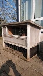 Konijnen hok, Ophalen, 110 cm of meer, Hok, 90 cm of meer