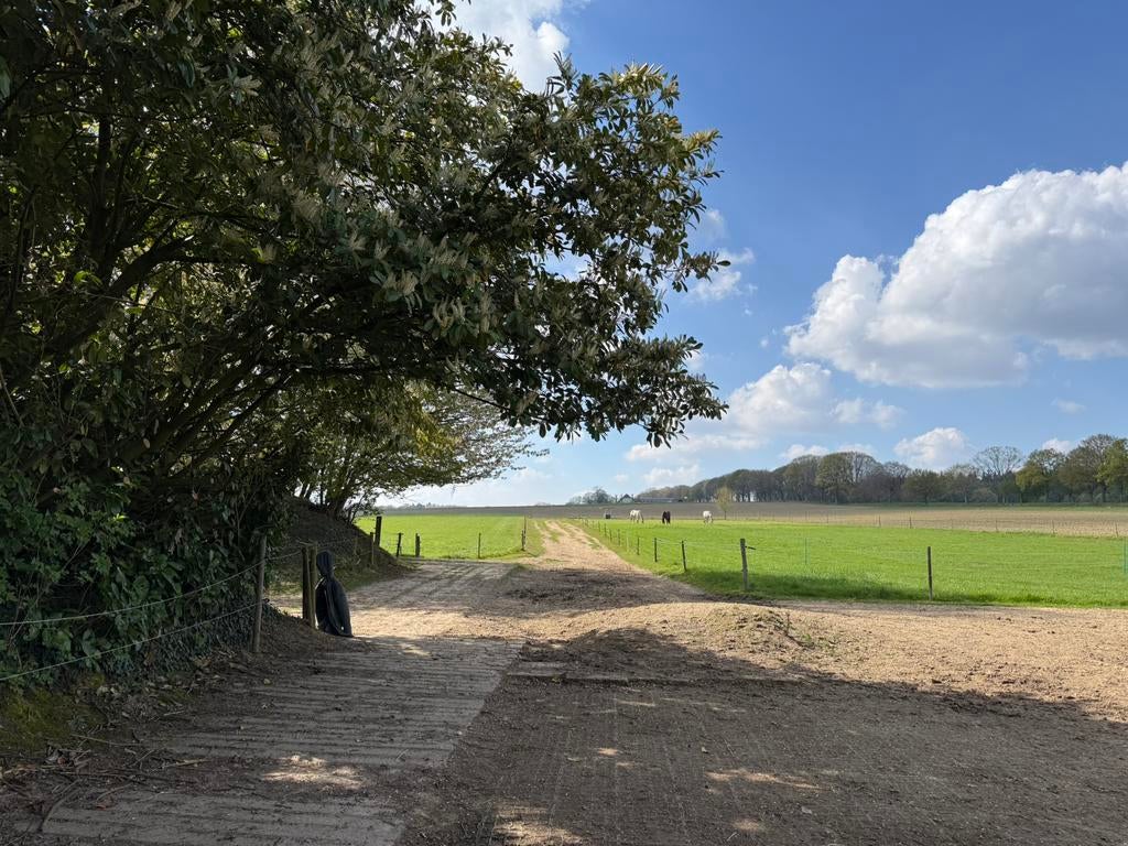 Plekje vrij in Groesbeek voor sociale ruin(en), Dieren en Toebehoren, Weidegang, 1 paard of pony