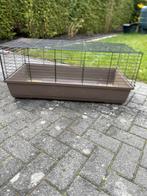 Hok voor konijnen, cavia en andere knaagdieren, Ophalen, Hok, Konijn, Minder dan 60 cm