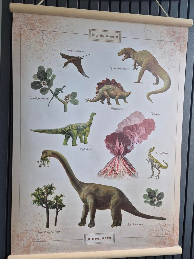 Vintage schoolplaat dino's - Pimpelmees, Antiek en Kunst, Antiek | Schoolplaten, Ophalen of Verzenden, Overige thema's