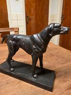 Vintage polystone beeld jachthond, Ophalen of Verzenden