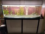 Aquarium 180*60*60, Ophalen, Leeg aquarium