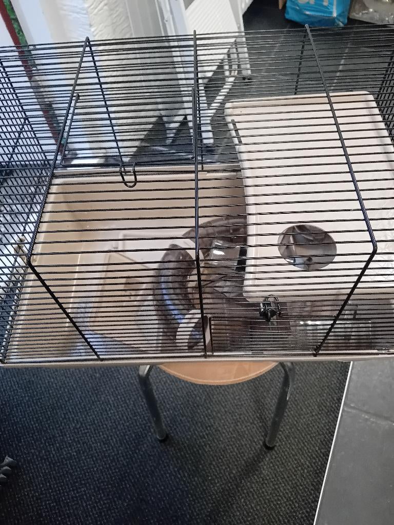 Hamsterkooi, Dieren en Toebehoren, Knaagdieren en Konijnen | Hokken en Kooien, Minder dan 60 cm, Kooi, Minder dan 75 cm, Ophalen of Verzenden