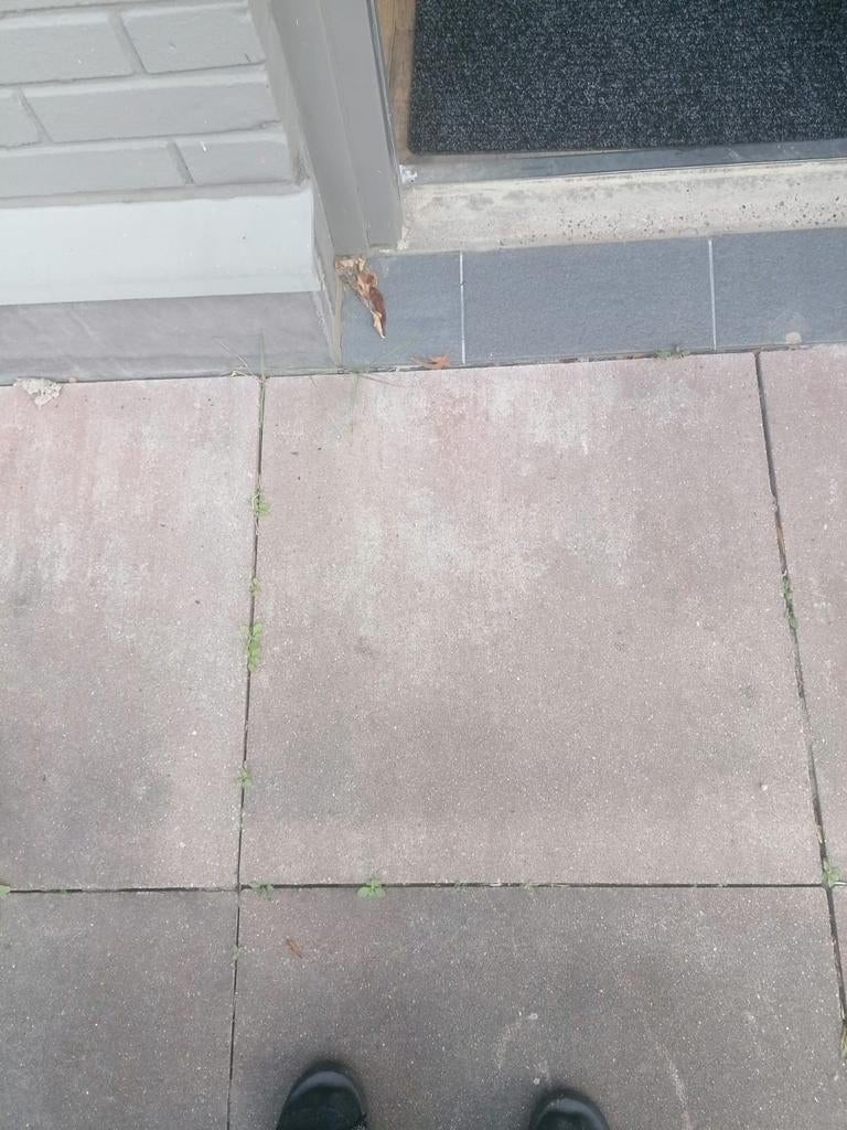 Tuin tegels 60x60, +-80 stuks, Tuin en Terras, Ophalen, Beton, Terrastegels