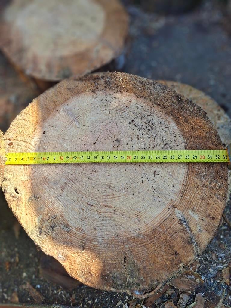 Natuurlijke houten stapstenen voor tuin of pad, Ophalen of Verzenden, Nieuw, Hout, Overige typen