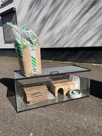 Terarium 100x40x40 cm, Dieren en Toebehoren, Overige typen, Zo goed als nieuw, 75 tot 110 cm, Ophalen
