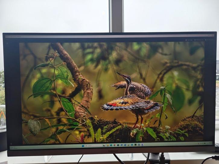 Samsung 28 inch 4K Monitor, Computers en Software, Monitoren, Gebruikt, 60 Hz of minder, IPS, Ultra HD (4K), Ophalen of Verzenden