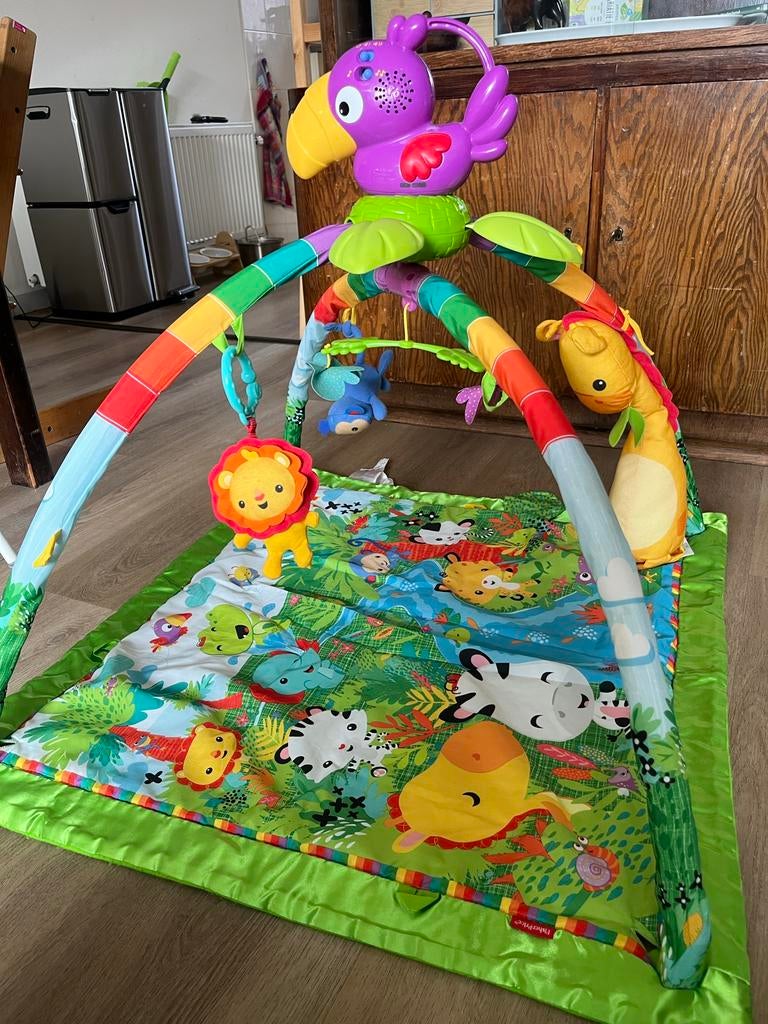 Fisher-Price Babygym met Licht en Geluid, Ophalen, Gebruikt, Babygym, Met licht