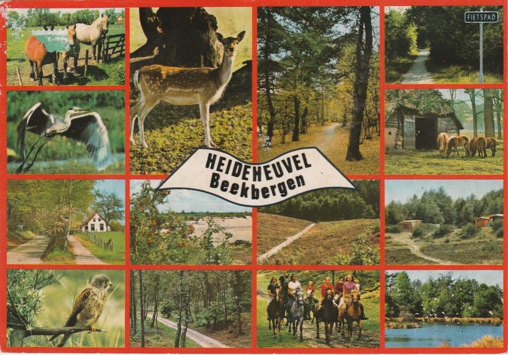 BEEKBERGEN Heideheuvel, Verzamelen, Ansichtkaarten | Nederland, Gelopen, Gelderland, 1980 tot heden, Verzenden