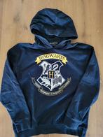 Harry Potter trui 158/164 zgan, Jongen of Meisje, Trui of Vest, Ophalen of Verzenden, Zo goed als nieuw