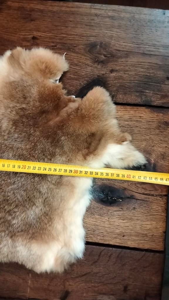 Leuk brocante vachtje (1), Antiek en Kunst, Ophalen of Verzenden