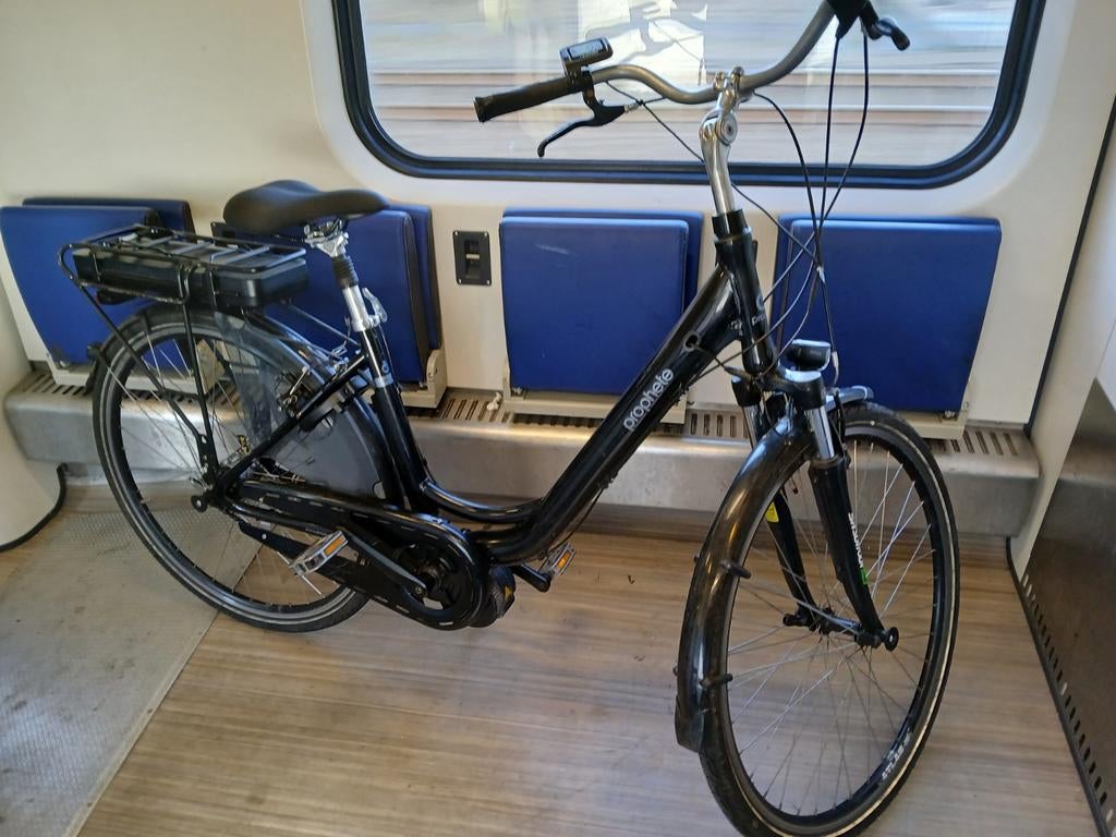 Prophete e bike  motor moet vervangen worden, Ophalen of Verzenden, Gebruikt, Overige merken