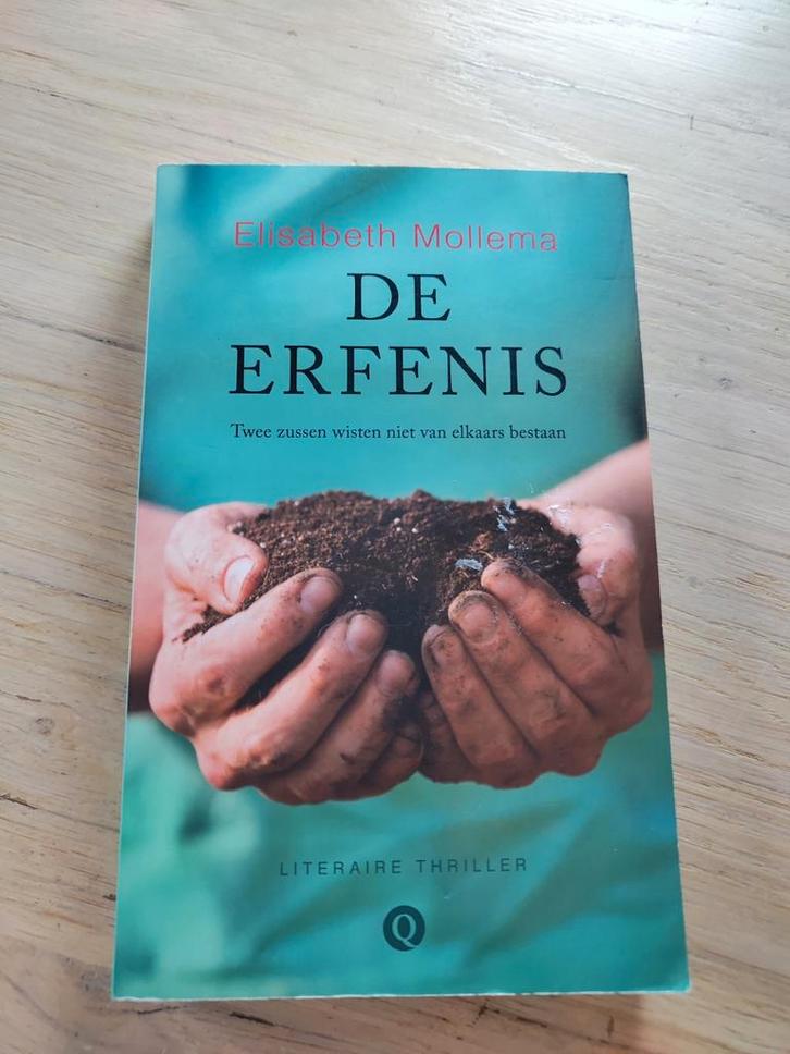 De Erfenis - Elisabeth Mollema, Boeken, Thrillers, Ophalen of Verzenden