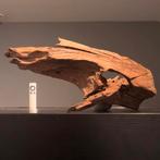 Uniek stuk Kienhout / Driftwood / Spiderwood, Hout Decoratie, Ophalen of Verzenden, Plant(en), Steen of Hout