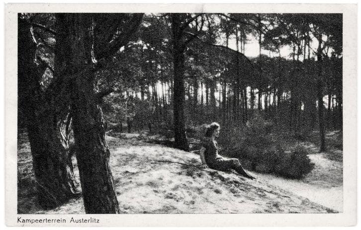 939371	Austerlitz	Kampeerterrein	1953	Gelopen met postzegel, Verzamelen, Ansichtkaarten | Nederland, Gelopen, Utrecht, 1940 tot 1960