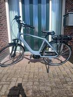 Jong gebruikte Trenergy bafang middenmotor 700 wh accu., 51 tot 55 cm, Ophalen, Gebruikt, Overige merken