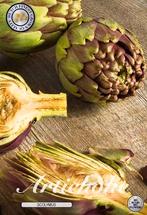 bloembollen, Ophalen, Voorjaar, Volle zon, Bloembol